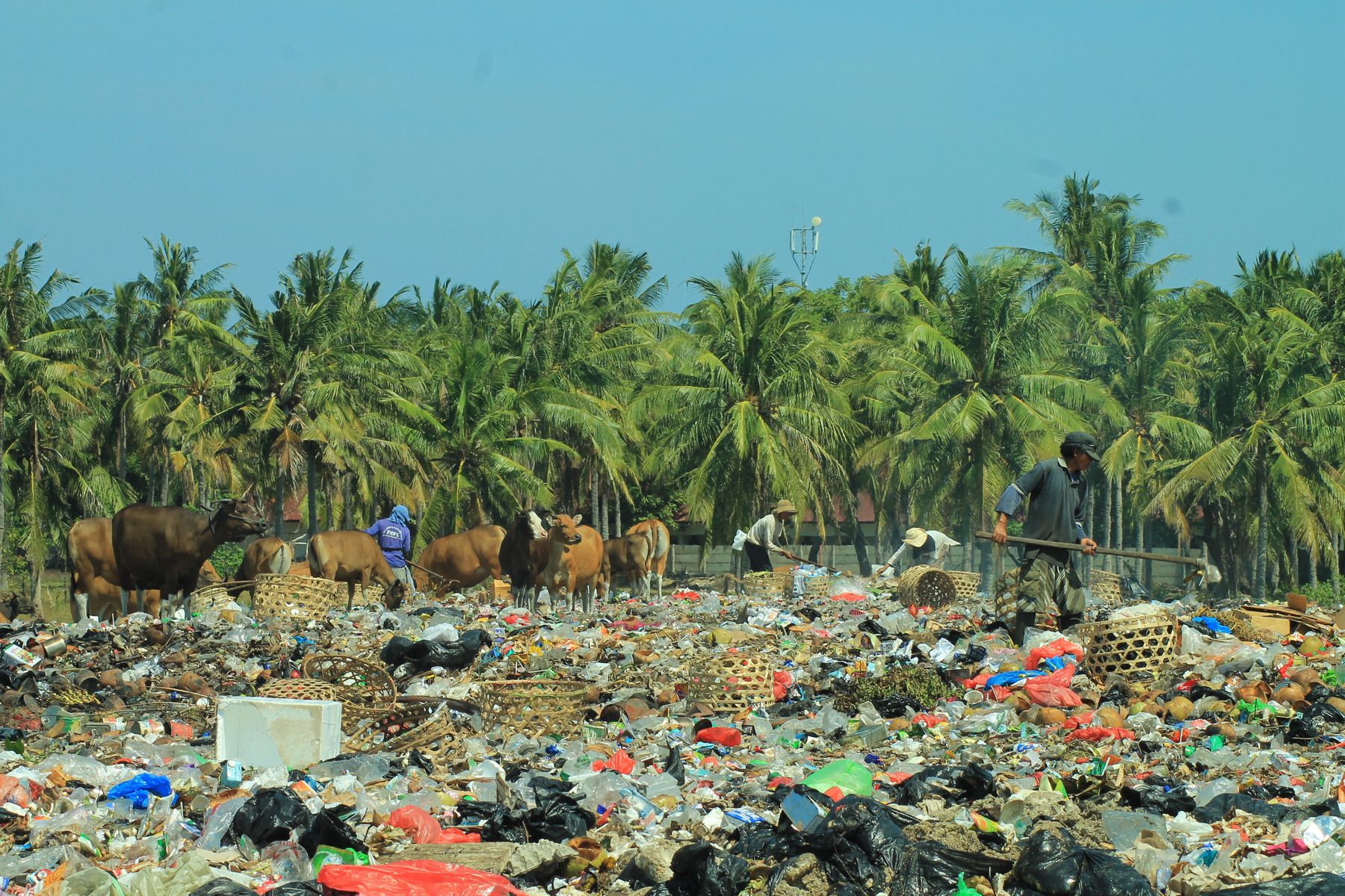 Décharge à ciel ouvert envahie de déchets plastiques, Indonésie